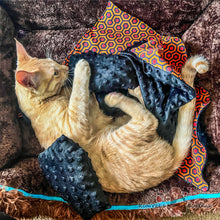 Load image into Gallery viewer, Coffin Cat Nip Toy