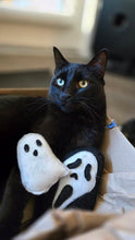 Load image into Gallery viewer, Ghost Cat Nip Toy