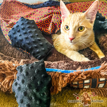 Load image into Gallery viewer, Coffin Cat Nip Toy